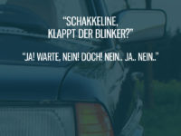 Schakkeline und der Blinker