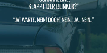 Schakkeline und der Blinker