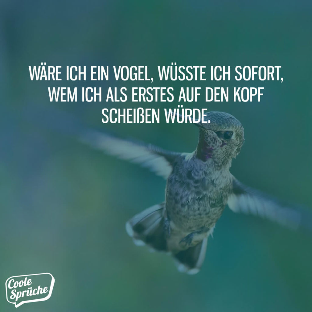 Als Vogel anderen auf den Kopf scheißen Coole Sprüche
