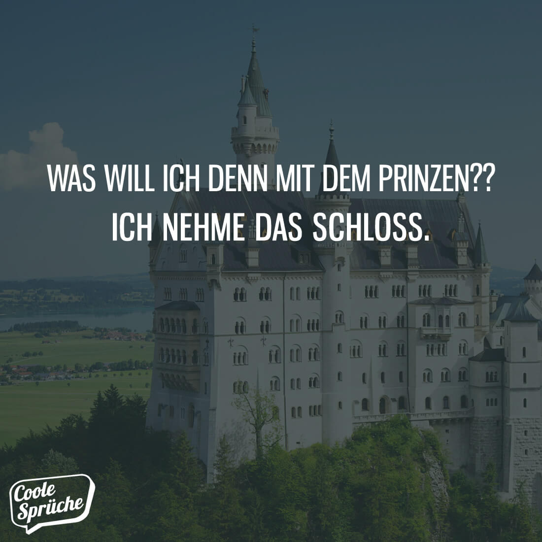 Was will ich mit dem Prinzen? Coole Sprüche
