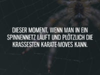 Dieser Moment, wenn man in ein Spinnennetz läuft