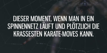 Dieser Moment, wenn man in ein Spinnennetz läuft