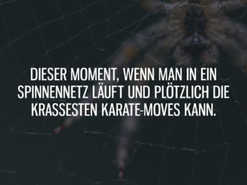 Dieser Moment, wenn man in ein Spinnennetz läuft