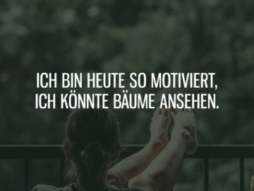 Ich bin so motiviert, ich könnte Bäume ansehen