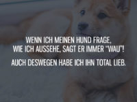 Wenn ich meinen Hund frage, wie ich aussehe