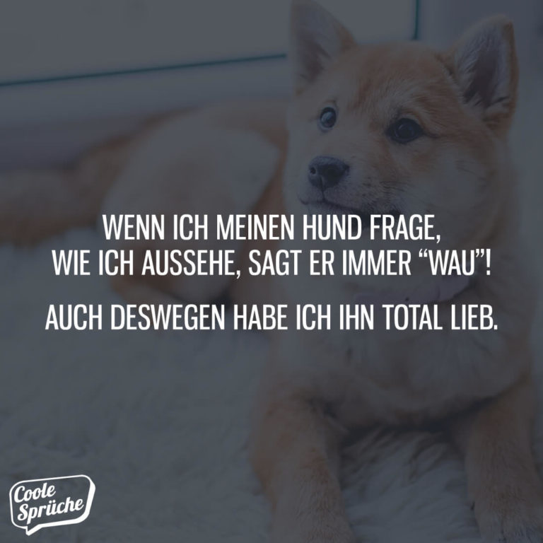 Meinem hund mit sex ich_habe_sex_mit_meinem_hund —